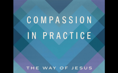 Compassion Practices to Ground and Restore You in New Book from Frank Rogers